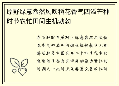 原野绿意盎然风吹稻花香气四溢芒种时节农忙田间生机勃勃